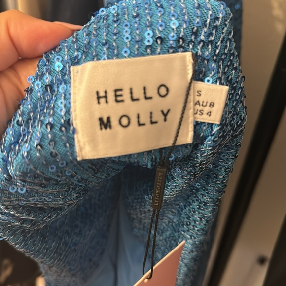 Hello Molly Sequin Midi Dress | 4 - Picture 12 of 12